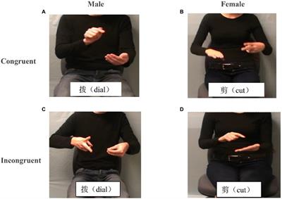 Gesture–Speech Integration in Typical and Atypical Adolescent Readers